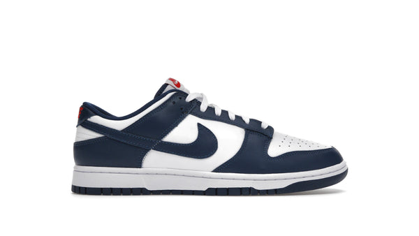 Nike Dunk Low Valerian Blue